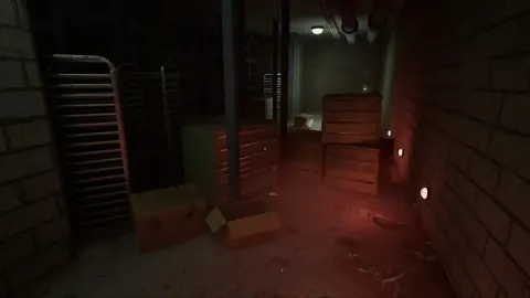 Within developer and publisher: Credits and Release